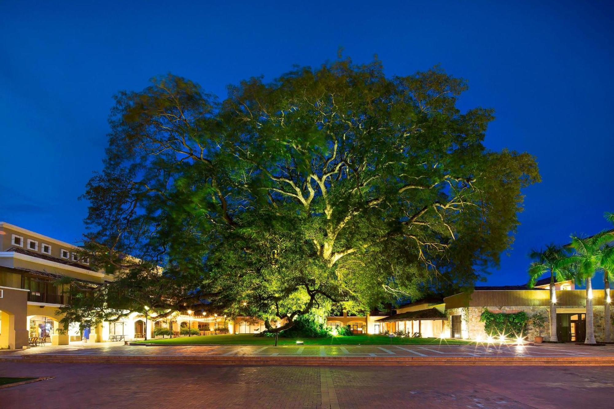 The Buenaventura Golf & Beach Resort, Autograph Collection Рио-Ато Экстерьер фото